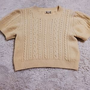 Free People cable knit crop top